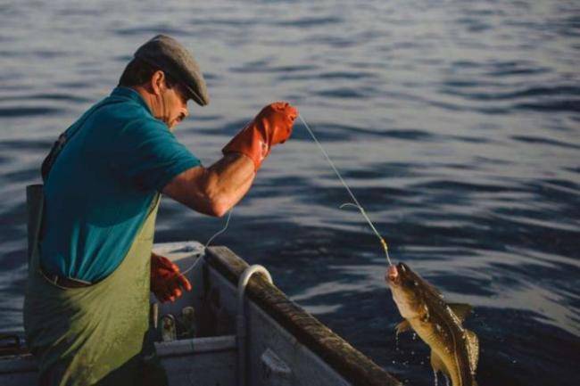 Qanunsuz balıq ovlayan şəxs