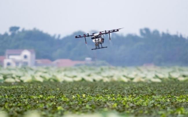 Azərbaycan yeni dronların istehsalına başlayıb