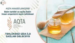 Saxta balın insan orqanizmi üçün Xəbər şəkili