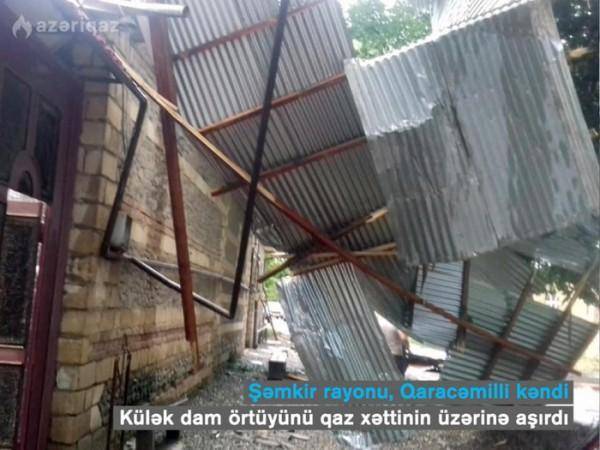 Güclü külək Şəmkirdə fəsadlar törədib -