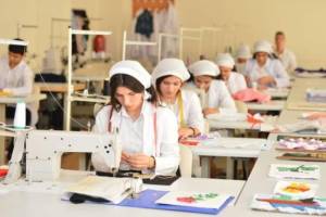 Peşə təhsili üzrə sənəd qəbulu yekunlaşır