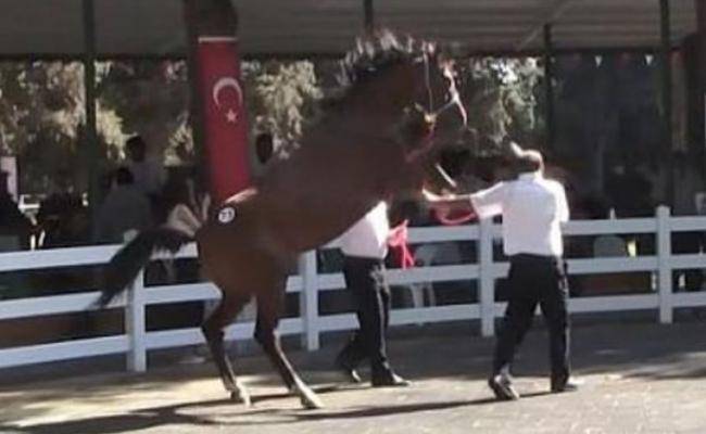 At təlimçiyə ağır xəsarət yetirdi -