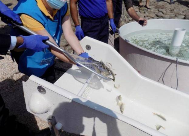 Bütün Azərbaycan bu müəllimdən danışır: