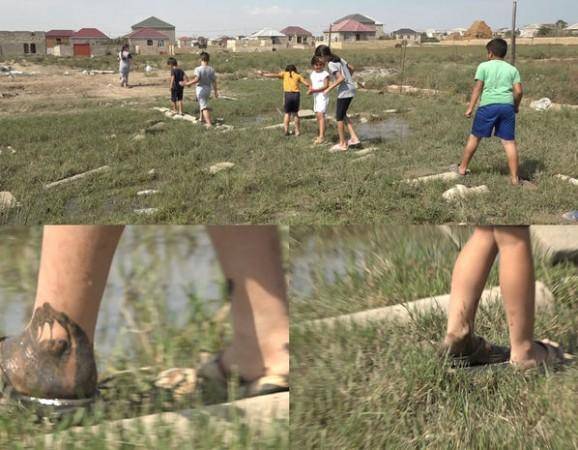 Məktəbdən 12 kilometr uzaq Saray sakinləri -