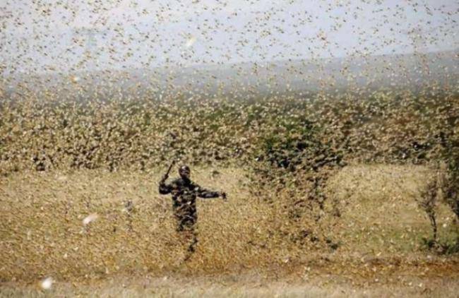 Virus bitməmiş növbəti FƏLAKƏT: