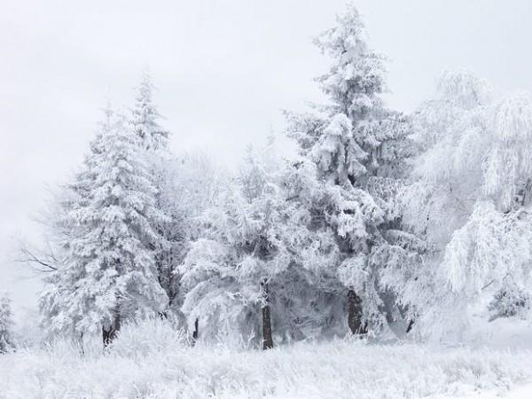 Faktiki hava açıqlandı: Xəbər şəkili