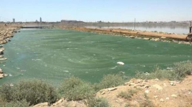 Bakıda &uuml;funət iyinə səbəb olan B&ouml;y&uuml;kşor g&ouml;l&uuml; - Xəbər şəkili