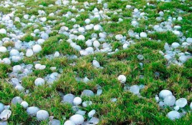 Gədəbəyə dolu düşdü -