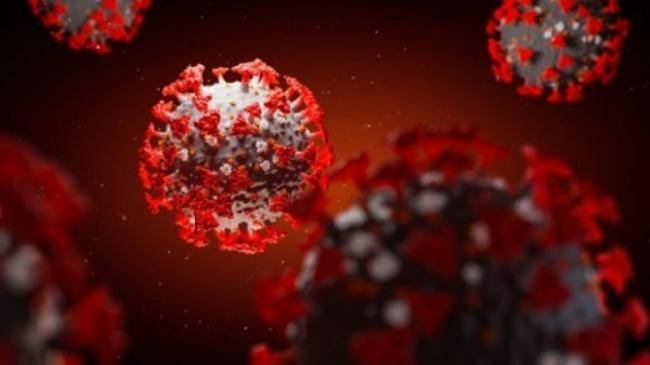 Dünyada yalnız bu 11 ölkədə koronavirus yoxdur -