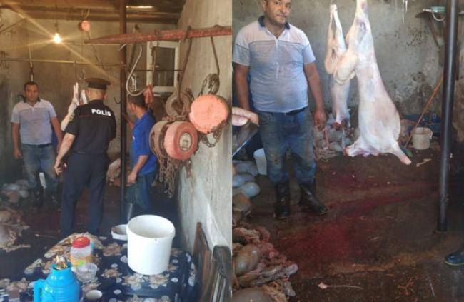 Qanunsuz ət kəsimi ilə məşğul olan şəxslər saxlanılıblar -