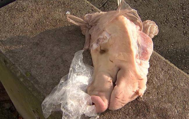 Azərbaycanla Türkiyə səfirliklərinin önünə donuz başı qoyublar... -