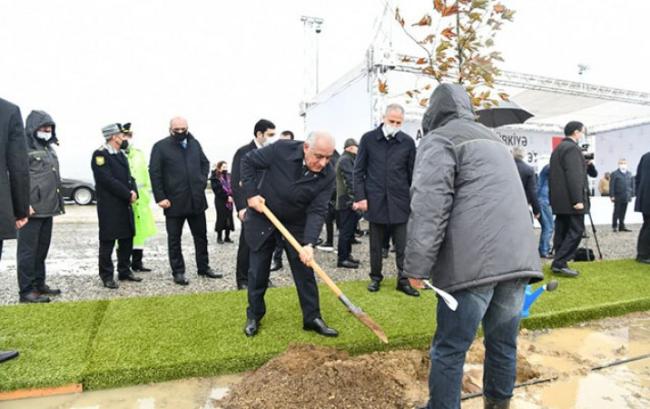 Əli Əsədov beynəlxalq ağacəkmə aksiyasında iştirak edib