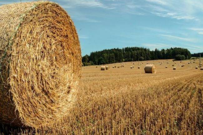 Nazirlər Kabineti aqrar sığorta qaydalarını
