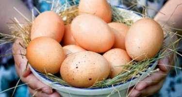 Yumurta bazarlarda niyə 50 qəpikdir? -VİDEO