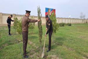 FHN-in Aran Regional Mərkəzi ağacəkmə aksiyası keçirib Xəbər şəkili