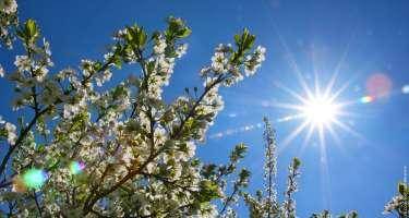 Aprel ayında hava necə olacaq?