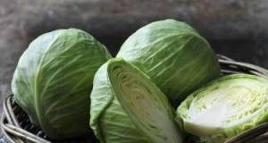 Kələmin faydaları Xəbər şəkili