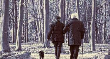 Yaşlılar üçün bu sadə test tövsiyə olunur