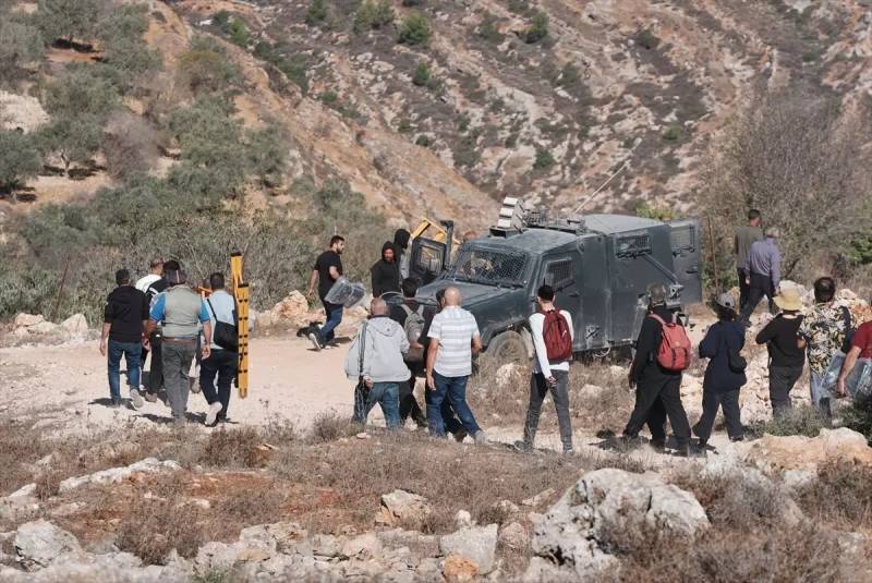 İŞĞAL ALTINDAKI İƏRİYYƏDƏ GƏRGİNLİK: İsrailli Məskunlaşanlar Fələstinli Fermerlərin Zeytun Yığımını Dayandırır