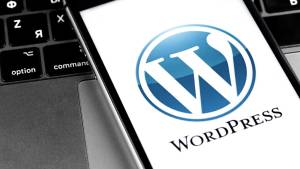 WordPress Platforması Ətrafında Böyük Hüquqi Mübahisə: Automattic WP Engine-i Məhkəməyə Verir