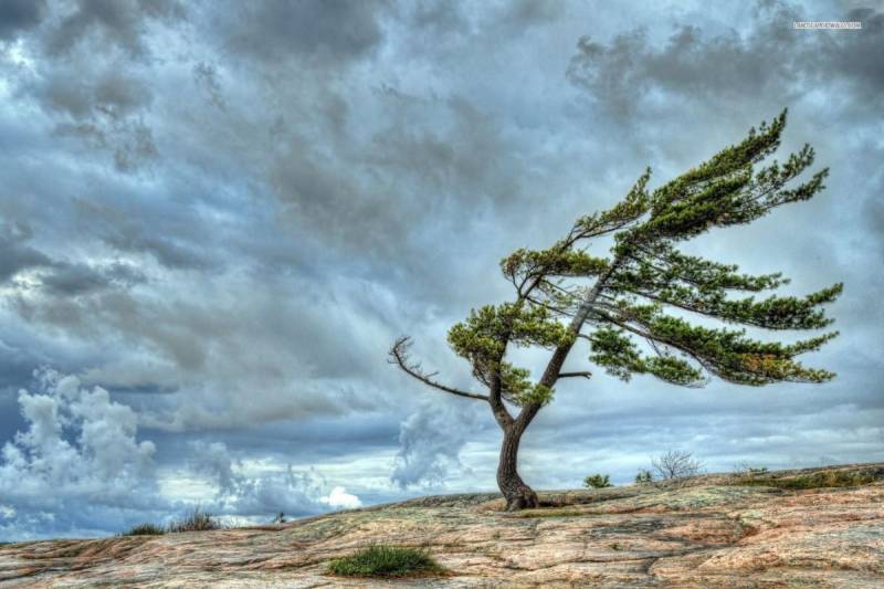 Səhiyyə Nazirliyinin tabeliyində olan körpələr evinin işçilərinin əməkhaqları artırılıb