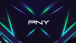 PNY CS3250 SSD: Yüksək PCIe 5.0 Sürəti Münasib Qiymətə Təklif Edilir Xəbər şəkili