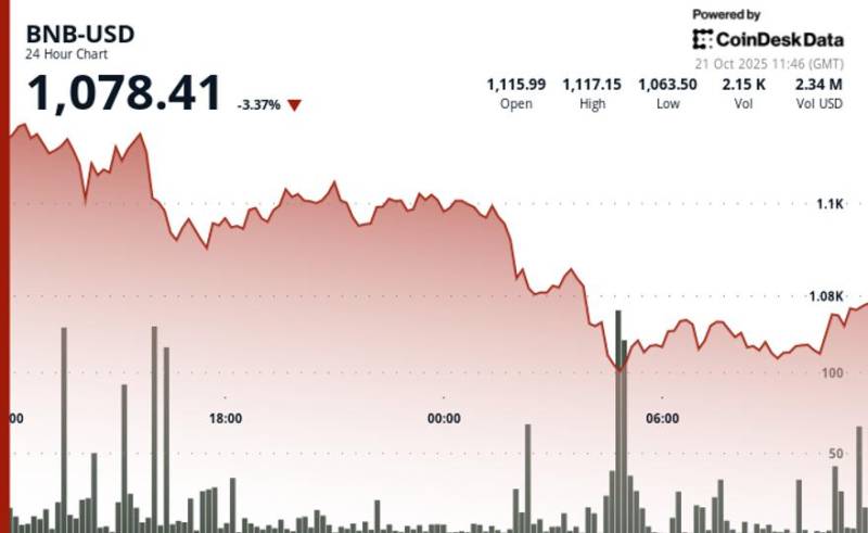 Kripto Bazarda Sarsıntı: BNB 3.3% Ucuzlaşdı, Həcmi 87% Artan Satışlar Əsas Dəstəyi Qırdı