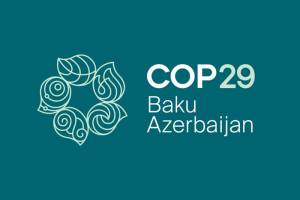 Avropa Parlamenti “COP29 Bakı Çağırışını” qlobal iqlim gündəliyinin əlamətdar hadisəsi kimi qiymətləndirib