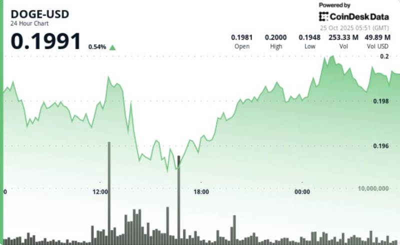 Dogecoin 0.20 Dollar Həddinə Çatdı: Həcmin Üçqat Artımı “Buğa” Trendini Təsdiqləyir