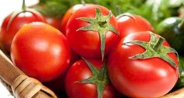 Azərbaycan bu ölkədən pomidor almayacaq