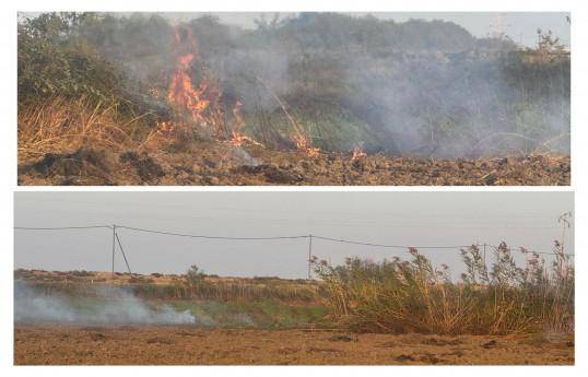 Zərdab rayonunda yanğın törədən şəxs məsuliyyətə cəlb edildi