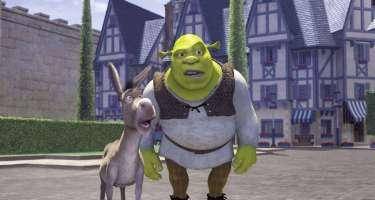 Məşhur eşşək 30 yaşında öldü -FOTO