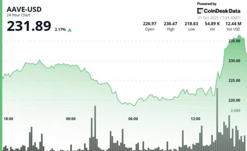 Aave 230 Dollardan Yuxarı Qayıtdı: İkiqat Dib Reversiya Formasiyası Təsdiqləndi