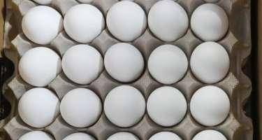 ABŞ-də yumurta böhranı - Kartofla əvəzləndi