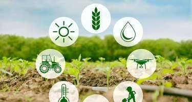 Kənd təsərrüfatının inkişafı üçün hansı addımlar atıla bilər? - AÇIQLAMA