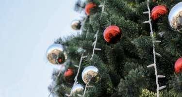 Yeni il yolkası neçəyə başa gəlir? - VİDEO