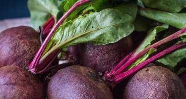 Çuğundurun sağlamlıq üçün faydalı xüsusiyyətləri