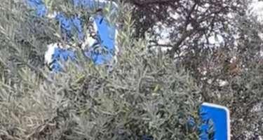 Yol nişanları görünmür, cərimə riski artır - FOTO Xəbər şəkili