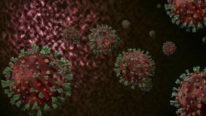 ÜST: Meymunçiçəyi Virusunun Klad 1b Ştammı Artıq Afrikadan Kənara Yayıldı Xəbər şəkili