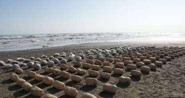 Xəzər dənizində 510 kq narkotik keçirilməsinin qarşısı alınıb