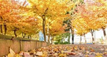 Oktyabrın 9-nun havası açıqlandı 