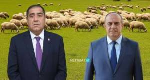 Həbs edilən icra başçıları şərik imiş Xəbər şəkili