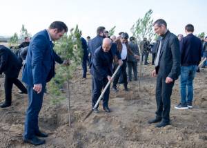 Zəfər Günü münasibətilə Ceyranbatan su anbarının ərazisində ağacəkmə aksiyası təşkil edilib