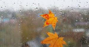 Bəzi ərazilərdə yağış yağır -Faktiki hava