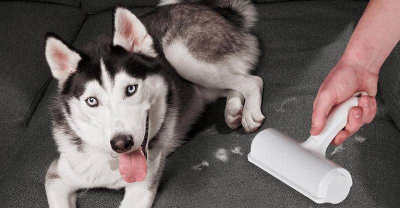 "Verge" Oxucularının Ən Çox Maraq Göstərdiyi "Qara Cümə" Endirimləri: Nəşrin Komissiya Sistemi