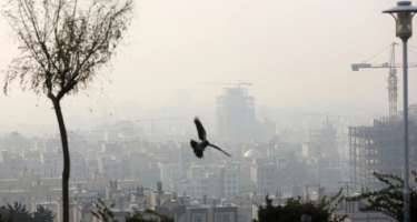 Qonşu ölkədə havaya görə məktəblər bağlandı