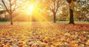 Sabahın havası açıqlandı Xəbər şəkili