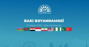 D-8 Media Forumunda Bakı Bəyannaməsi imzalandı