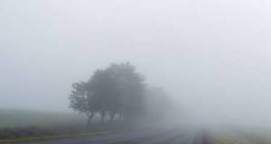 Yola çıxan sürücülərin nəzərinə