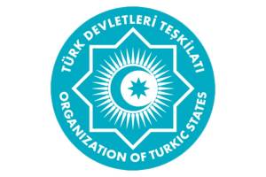 TDT: Təyyarə qəzasında xilas edilənlərlə bağlı xəbəri səbirsizliklə gözləyirik